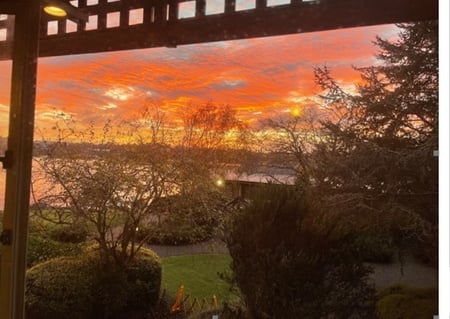 New Zealand sunset